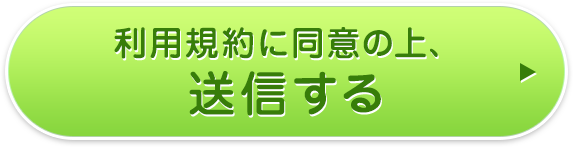 利用規約に同意の上、送信する